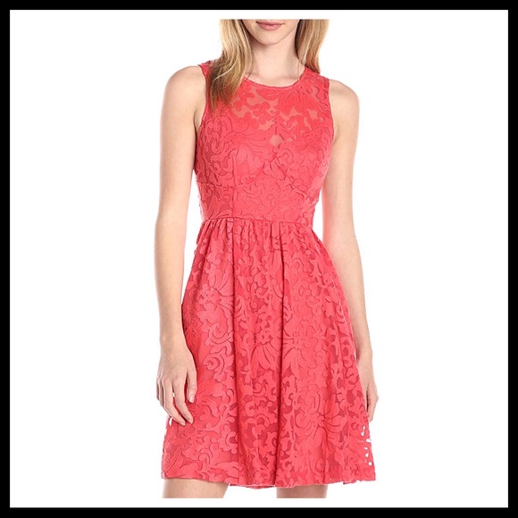 TRACY REESE A-LINE LACE FIT-AND-FLARE  DRESS A3C - Picture 6 of 8